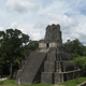 Illustration for article titled What really destroyed the Maya civilization?